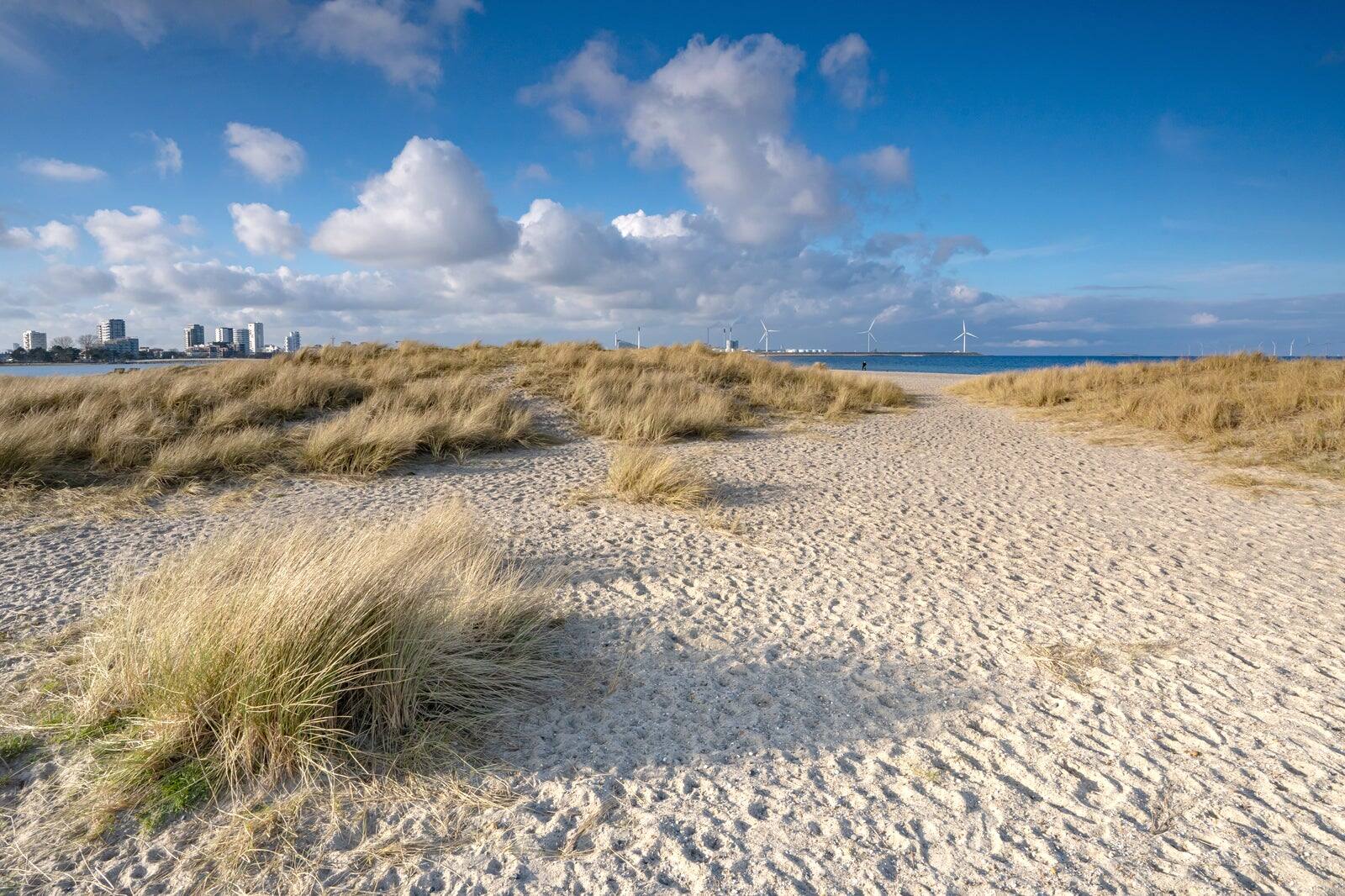 Amager-Strand.jpg